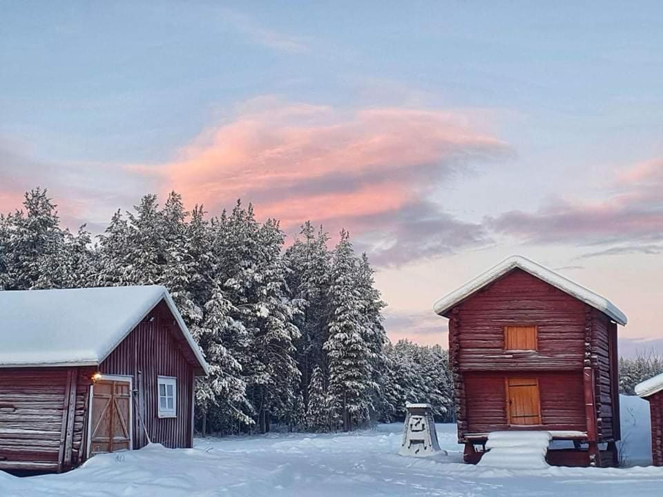 Guesthouse Ojebyn Eksteriør bilde
