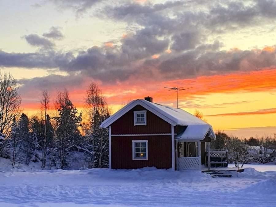 Guesthouse Ojebyn Eksteriør bilde